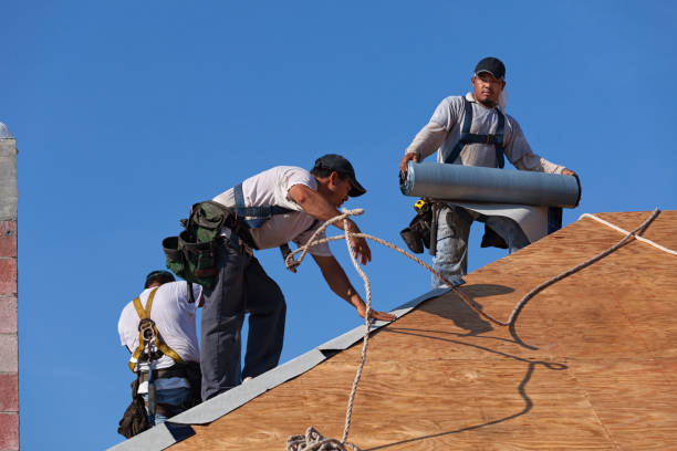 Best Roof Inspection Near Me  in Munford, AL