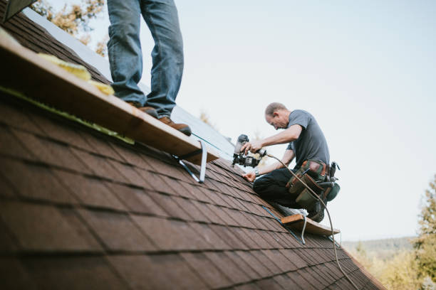 Best Roof Gutter Cleaning  in Munford, AL